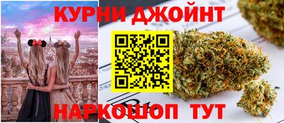 крисы Обь