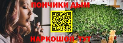 шишки Обнинск