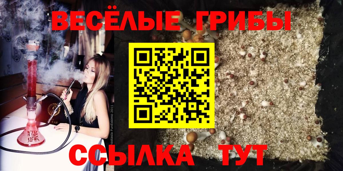 Галлюциногенные грибы ЛСД Старая Купавна